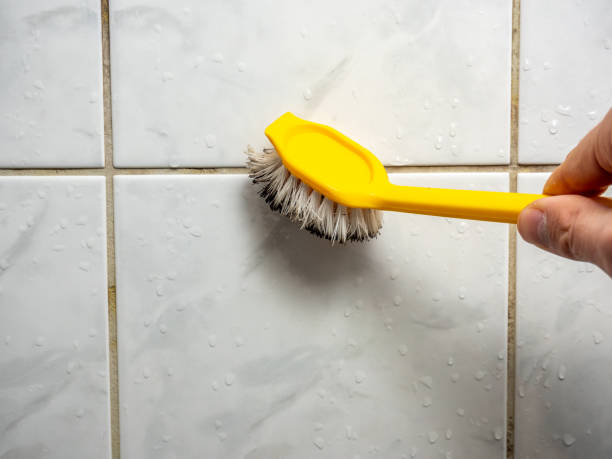 Best Emergency Mold Remediation in , VA